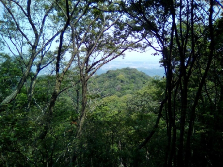 画像13